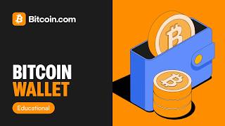How to Choose the Best Bitcoin Wallet (Key Features You MUST Know)