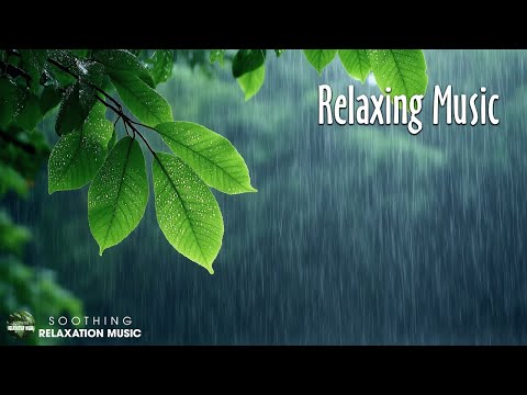 Rain Sounds for Relaxing, Focus or Deep Sleep | Nature White Noise | 3 Hour Video