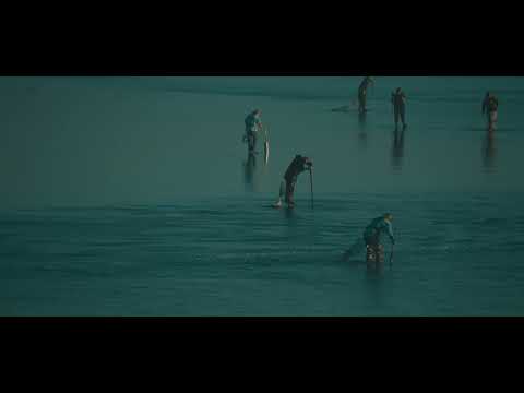 Oregon Coast Clamming 2024