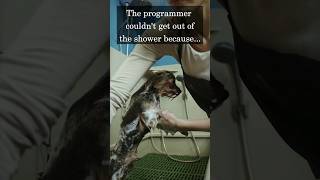 Are programmers idiots? | @TheBoomerJokester | IT24-2