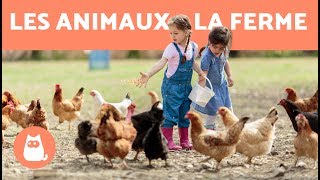 Farm animals - their cries, their young, their families