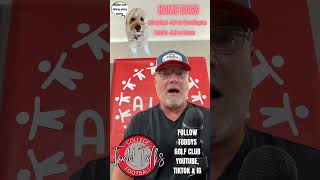 CFB Home Dogs Week 6 #collegefootball #cfbpicks #cfbprediction