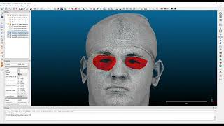 Pointclouds, CloudCompare, Meshmixer - Head