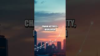 Optimism Unpacked A Practical Research Guide for Layer2 Investing