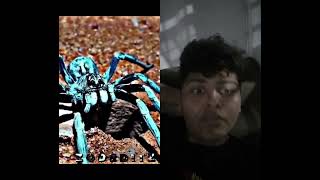 #spider #spiderman #marvel #venom #edit #japan #canada #ohio #siwil #russia