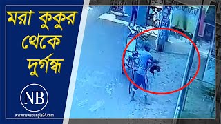 টাউন হলের ভেতর রেখে গেলেন মরা কুকুর | Jhalokati | Town hall