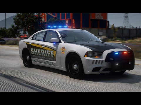 BSCO / LSCO Livery Package | Canine | Retro | DOT | SWAT | GHOSTED