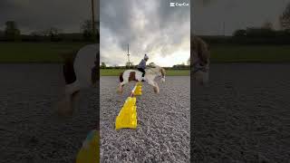 #growyourchannel #horse #horseenthusiast #equestrian #horsefan #horsegirl #horseriding #bestpony