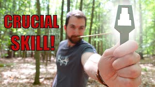 How to Measure Basal Area Per Acre (Three Methods!)