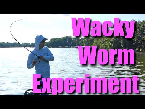 Double-Take Fishing: Switch Your Lure, Boost Your Catch!