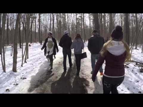 Maple Syrup Festival!
