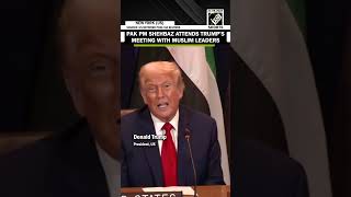 Pak PM Shehbaz Sharif attends Trump’s meeting with Muslim leaders at the sidelines of UNGA