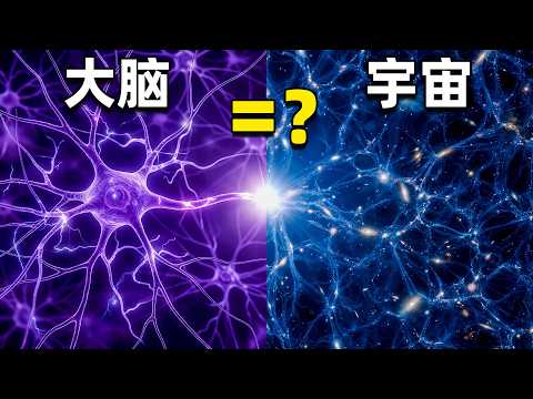 宇宙正在思考：为什么你可能只是它瞬间的一个念头？｜睡前科学故事