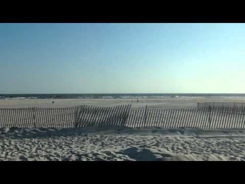 Jones beach, field 6, 2015