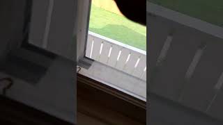 don't tape your window!!! save money.  #homeimprovement #painttips #workfaster