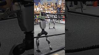 Real robot boxing competition 🤖 !! #robot #robotics #airobot #ai #technology#futuretech#realrobot