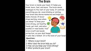 The Brain  ||  Learn and Speak English💬🌍✨📚