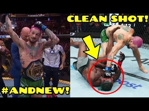 MMA Community reacts to Sean O'Malley's KO vs Aljamain Sterling, "I'm in HIS HEAD, He loves me!"