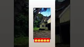 Fails work #shortvideo #work #fail #extreme #fails #woodworking #workfail