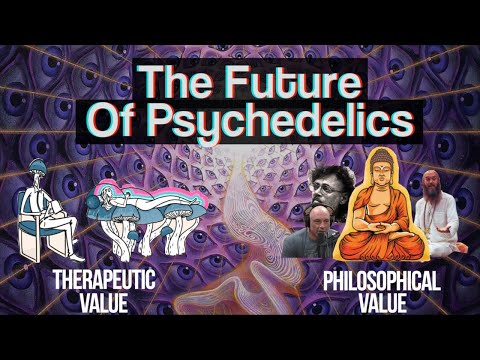 A Vision for the Future of Psychedelics in Society