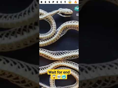 r e s p e c t 😱💀🥶 respect shorts #shorts #reels #new