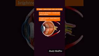HERE ARE 8 AMAZING FUNCTIONS OF YOUR EYE! #studywithme #learningtips #healthfacts #education#biology
