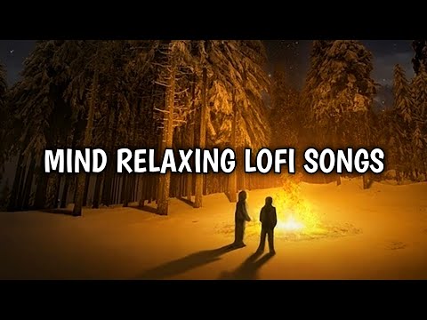 Mind Relaxing Lofi Songs // Best Songs Collection // Study Lofi
