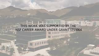 LNIS PhD Story - Functionality-enhanced devices for extending Moore's Law