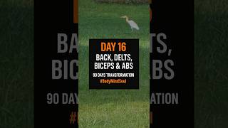 Day 16- First Day Of Intermittent Fasting #gym #fastingforfatloss #intermittentfasting