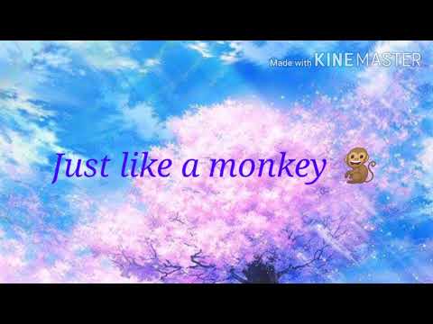 Tones And I - Dance monkey (lyrics)