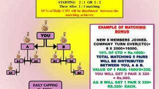 MARKETING PLAN THE CTOLIFE PARIWAR