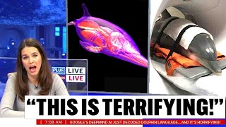 Google’s DeepMind AI Just Decoded Dolphin Language… Experts Went Pale at What It Revealed