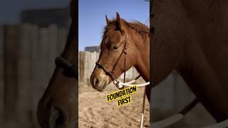 Foundation First. Henson Winn- colt starter. #jheartquarterhorses