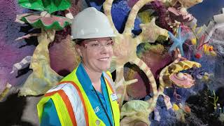 Ocean Tank Construction at SEA LIFE Florida - February 2025