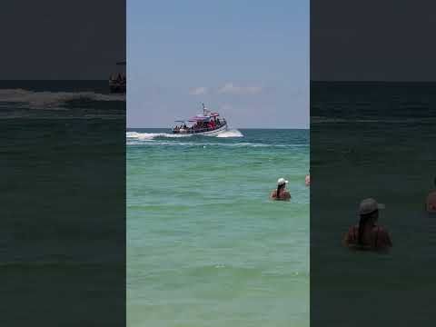 Favorite Things about living in Florida 🌴