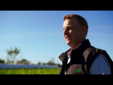 Grow Ontario Together | Grain Farmers of Ontario for Ontario Ministry of Agriculture, Food and Rural