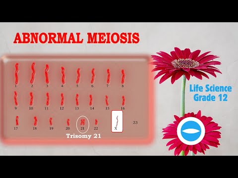 Abnormal Meiosis | Life science Grade 12 | The Important of meiosis.