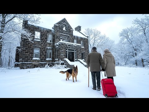 Disowned by Children — Elderly Couple Restored a Frozen Mansion into Warmth and Light