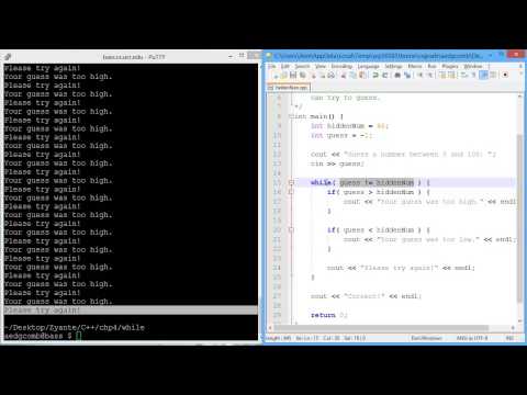 Programming example - While loops 2
