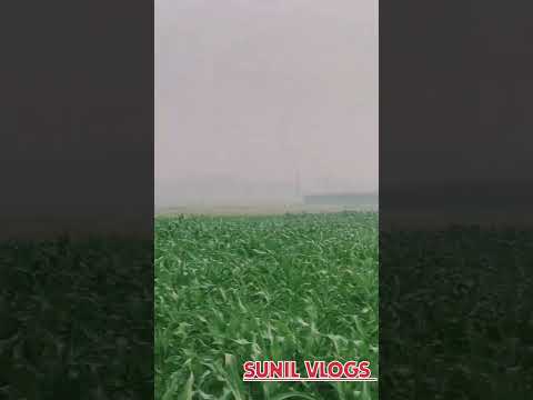 #villagelife #trending #village #villagevlogs #vlogs #shortvlogs