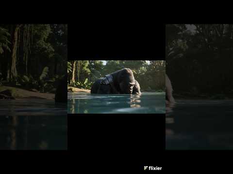 The Gorilla Who Defied His AI Code… 🤖 He Looked Into the Water, and Started Questioning Everything