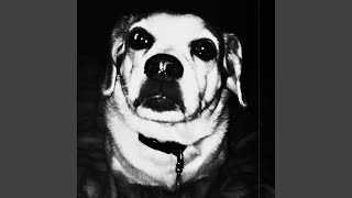 Timeline (Remastered)