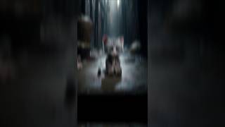 #86 poor cat survival 🐾🐈#cat #cute #kitten #shortsfeed #shorts #shortsvideo