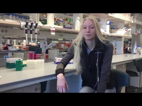 STEM Pathways 2018 Mini-Jamboree: Bioethics