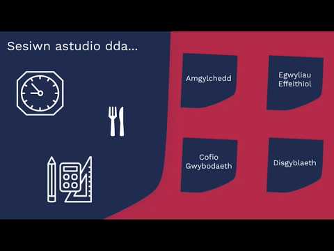 Sgiliau Astudio ac Adolygu: Sesiwn Da