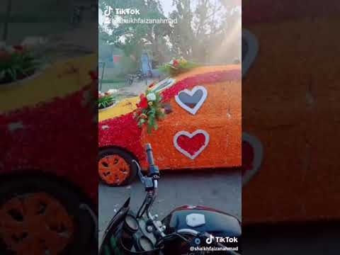 Dulhe ki gadi ki sjavat kaise kre