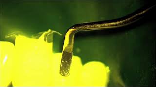 Bioclear™ Injection Moulding Process video