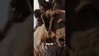 Part 8#unitedstates #tiktok #trending #editing #topblinds