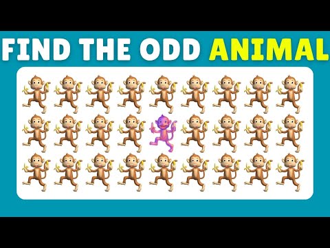 🐼 Find the Odd Animal Out! 🧠 Most Difficult Animal Puzzle on YouTube | Kitty Quiz