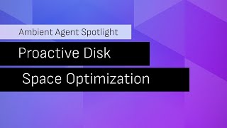Disk Space Optimization with an Ambient Agent